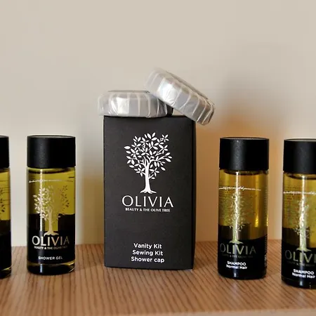 招待所 Aerolithos 阿达玛斯